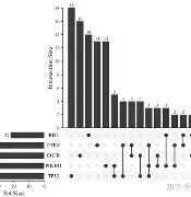 爱游戏官网-EG爆冷T1，Upset高光表现