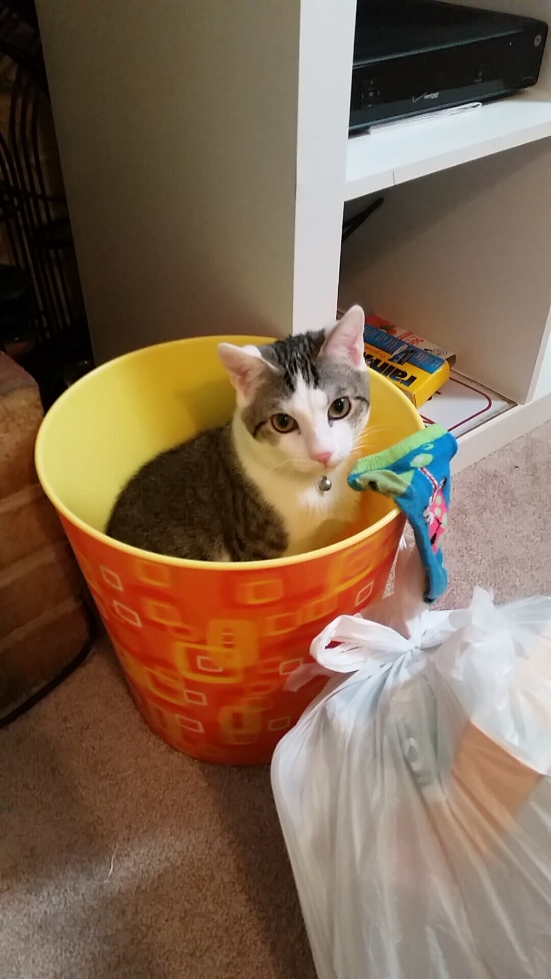 浦东德比，当海上花轻取好莱坞快船