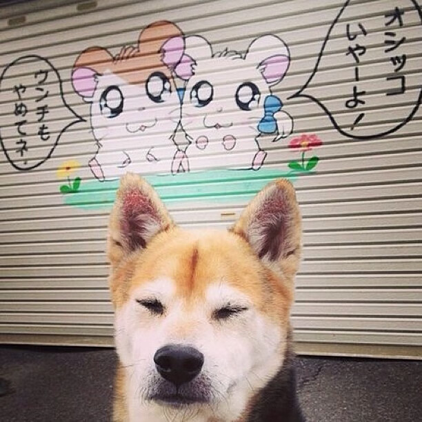 南美风暴席卷斗牛士，哈弗茨的独角戏与阿根廷的淬火之胜