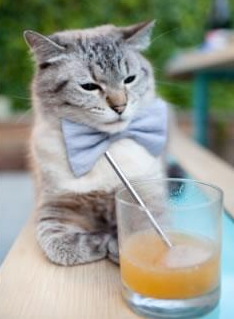 冰与火的交响,张本智和的呐喊如何熔断瑞典防线