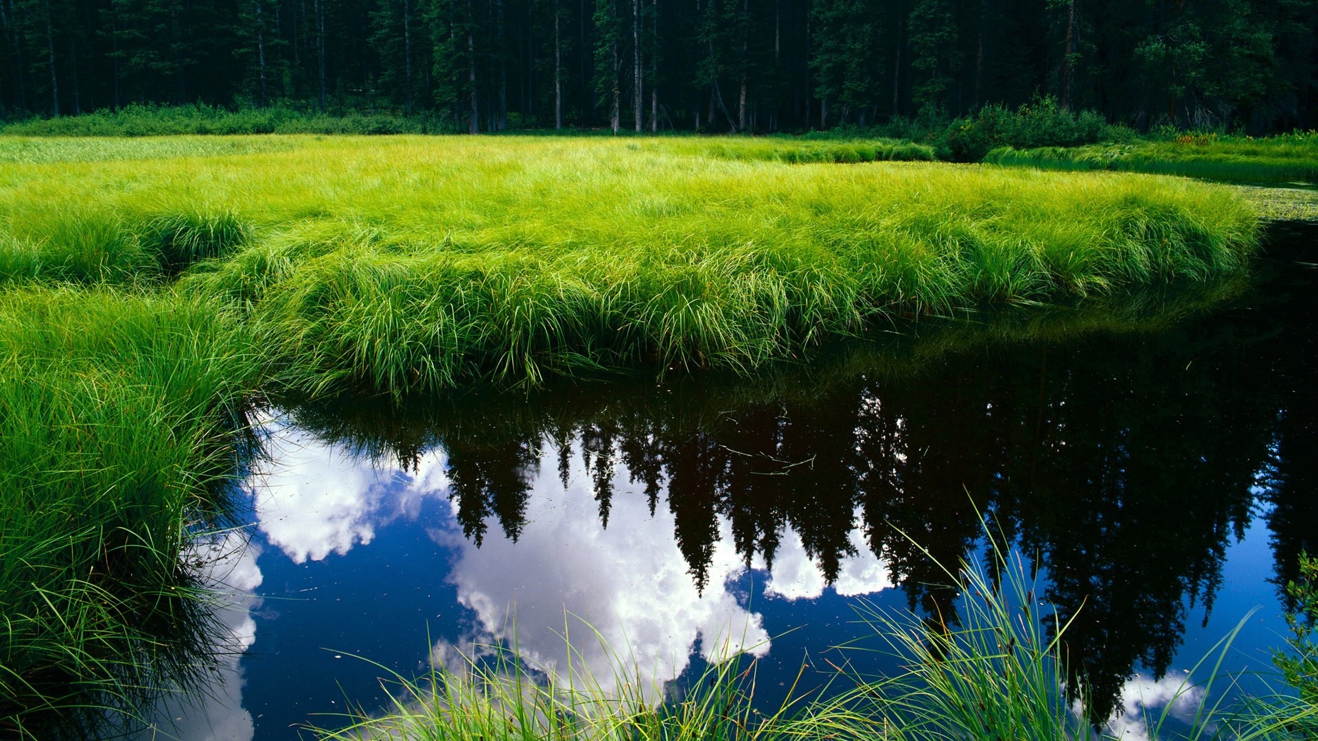 一场比赛,两座奖杯,辛纳怎样在联合杯的赛场复刻戴维斯杯传奇?
