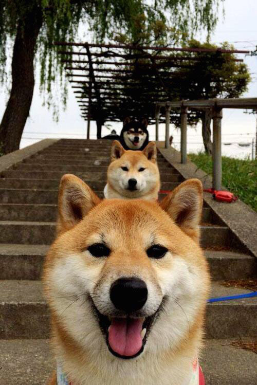 新枪王诞生！奥亚尔萨瓦尔戴帽助阿森纳4-0横扫葡萄牙体育