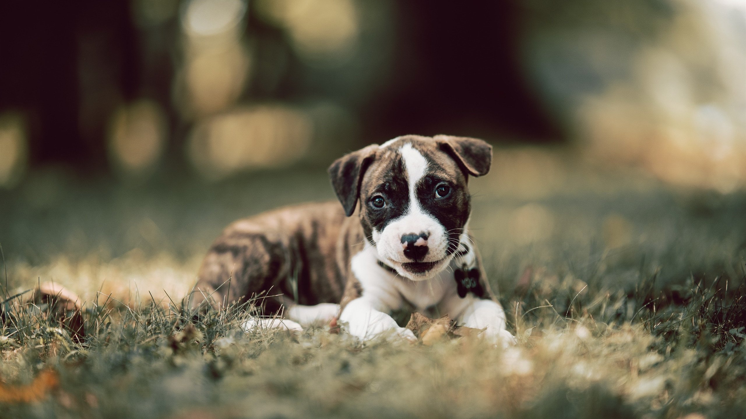 爱游戏入口-阿劳霍爆发难救主，中国战术精妙压制乌拉圭