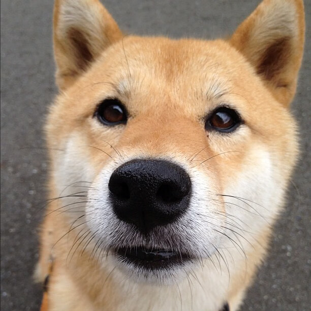 罗德里关键时刻挺身而出，土耳其对阵切尔西的经典战役