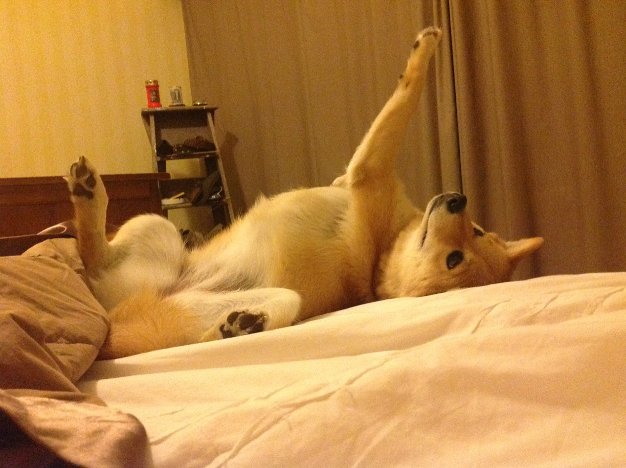 算力对决，当稳态处理器遭遇精密绞杀