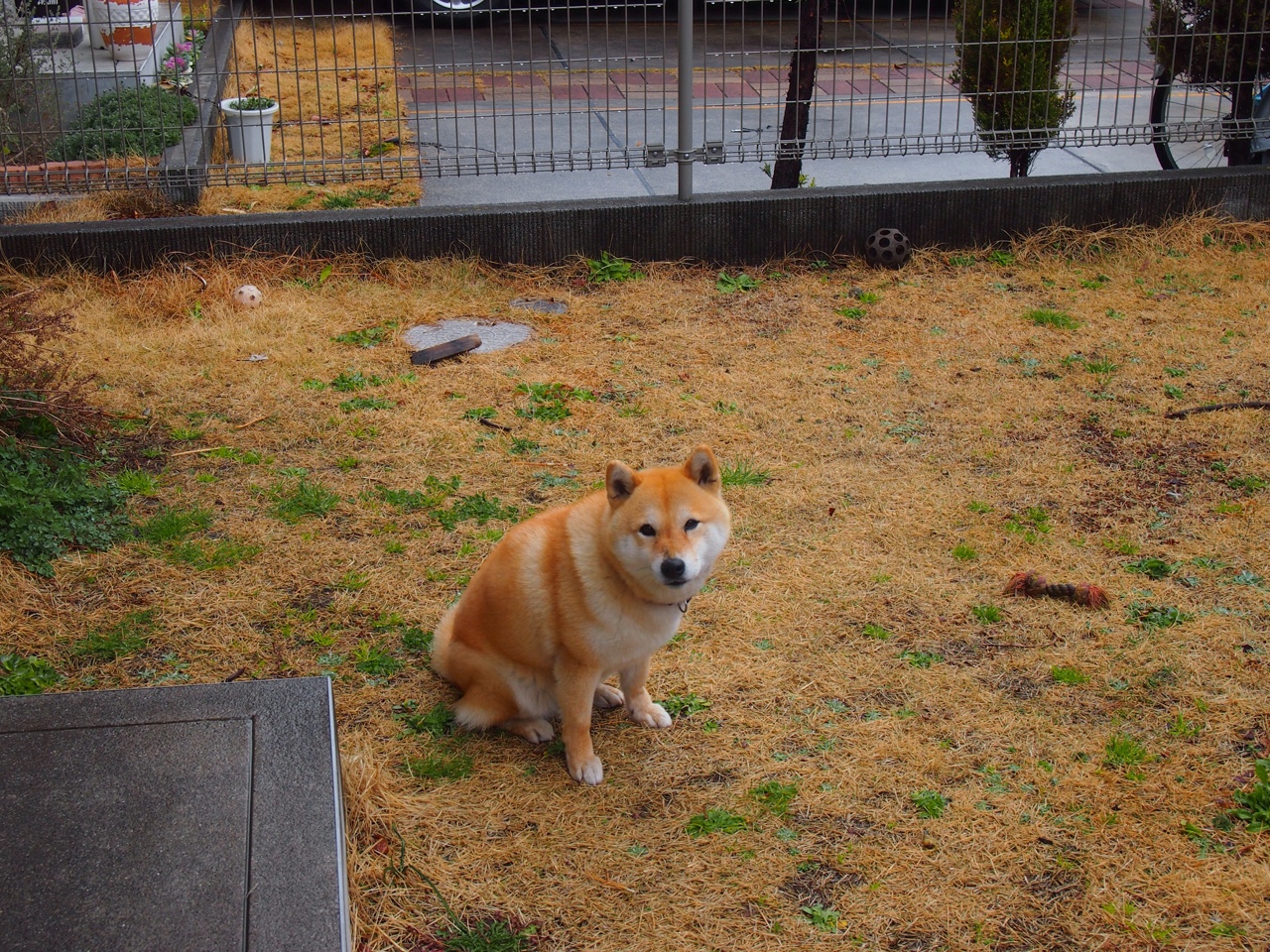 扩展思维，文章标题