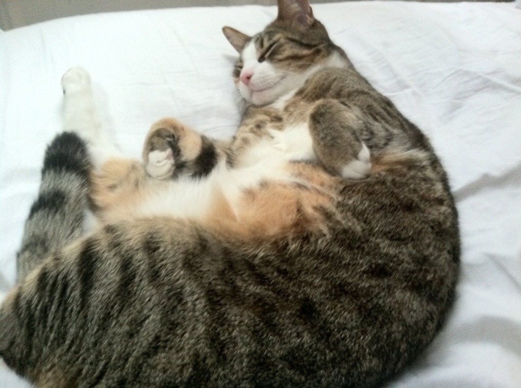 爱游戏官网-贝恩，航天城的璀璨烟花，末节冰火奏鸣曲逆转独行侠