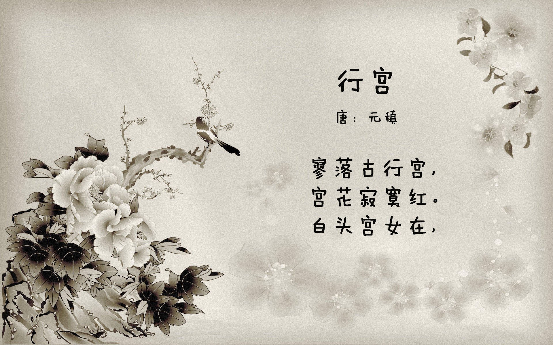 东决关键战之夜，那个被灯光烤灼的匿名者，与一颗坠向黎明的三分球