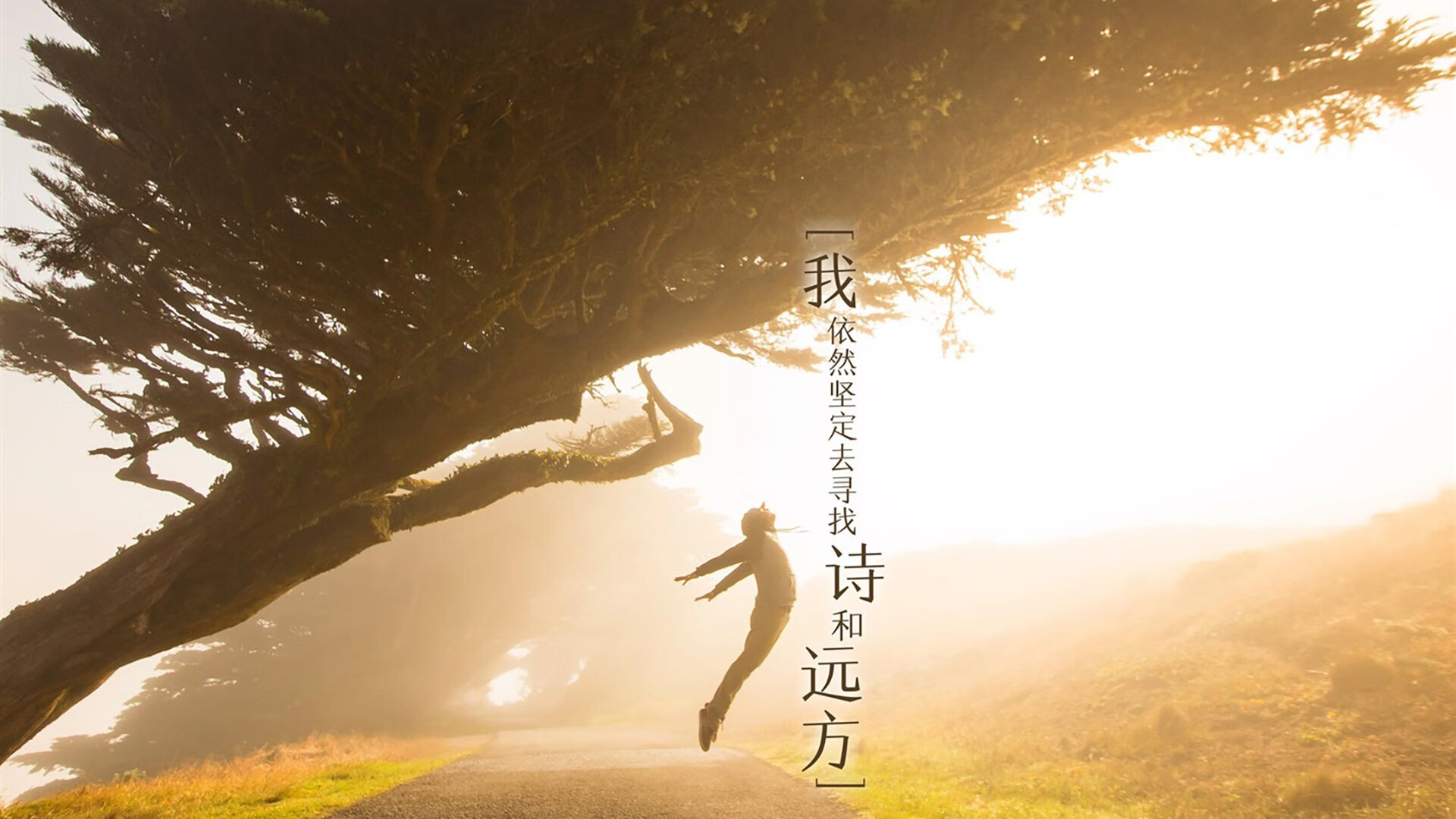 纽约风暴吞噬金州，一场改写联盟格局的排位绞杀战