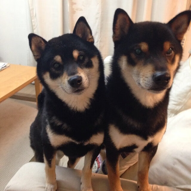 纽约风暴吞噬金州，一场改写联盟格局的排位绞杀战