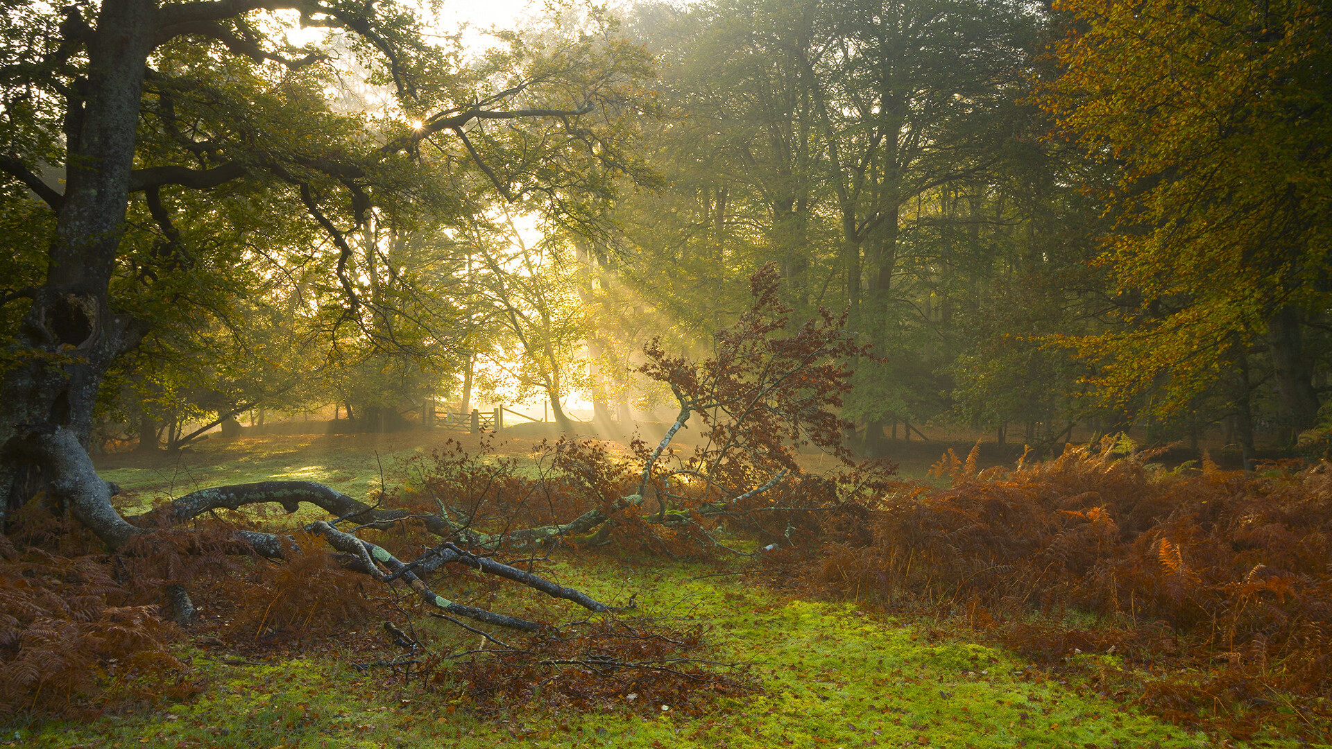 卡拉斯科爆发，一个人的战争，映照一支球队的蜕变