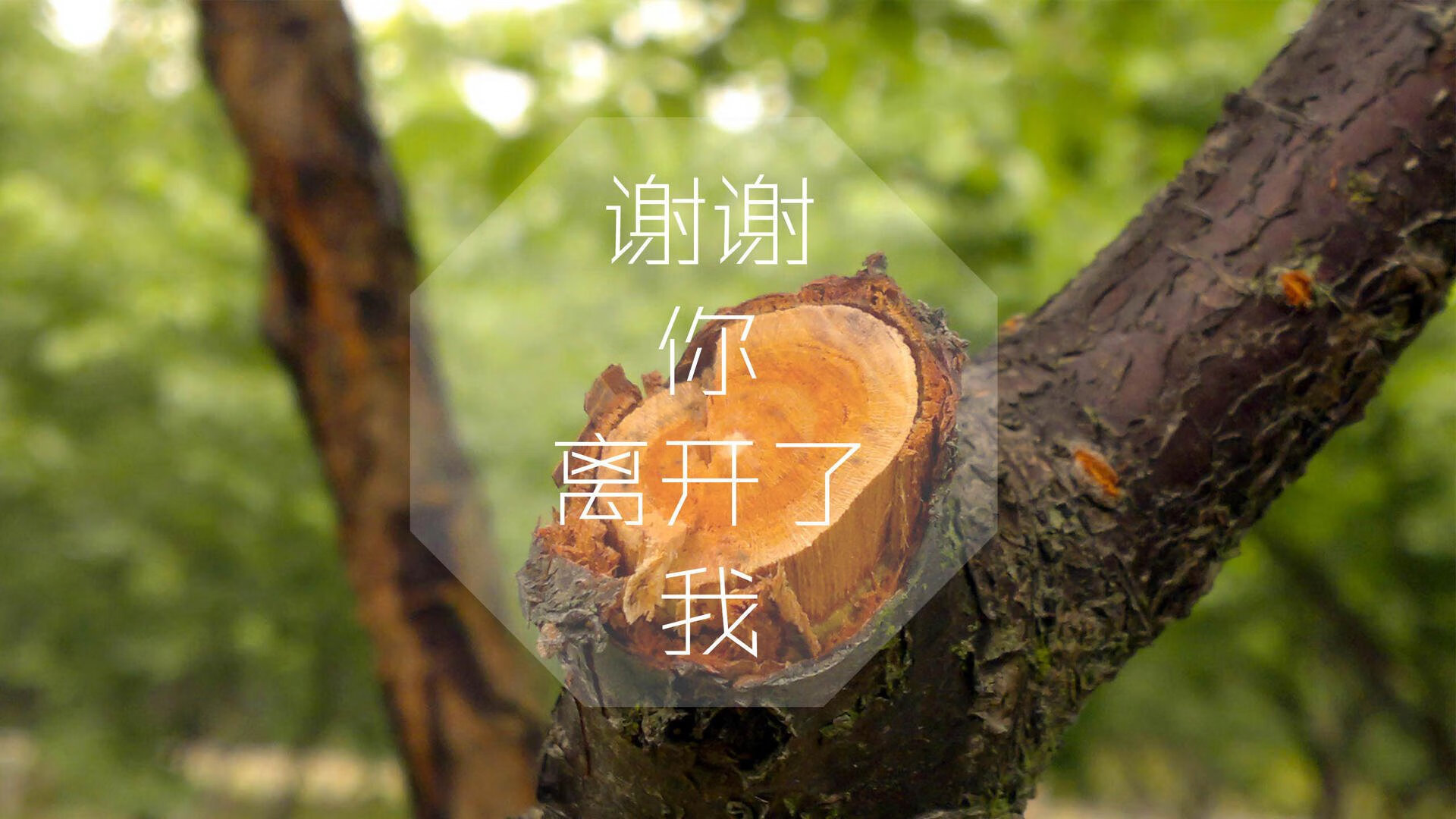 逆转之夜,2026世界杯G组英格兰绝地反击,福登星光闪耀改写命运